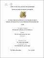 ESTUDIO Y PREPARACIÓN DE CATALIZADORES ÁCIDOS Y BÁSICOS HETEROGÉNEOS PARA LA PRODUCCIÓN DE BIODIESEL.pdf.jpg